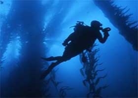 video-partner-managingmpas