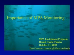 Screen Shot 2021-11-19 at 3.21.55 PM