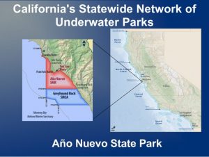 Screen Shot 2021-11-19 at 3.24.05 PM