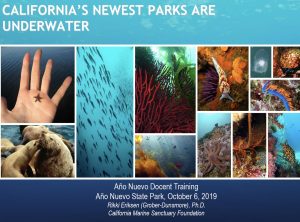 Screen Shot 2021-11-19 at 3.30.43 PM