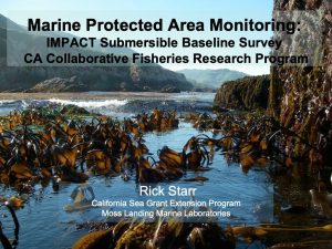 Screen Shot 2021-11-19 at 3.34.34 PM