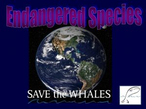 Screen Shot 2021-11-19 at 3.41.11 PM