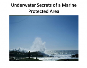 Screen Shot 2021-11-19 at 3.41.23 PM